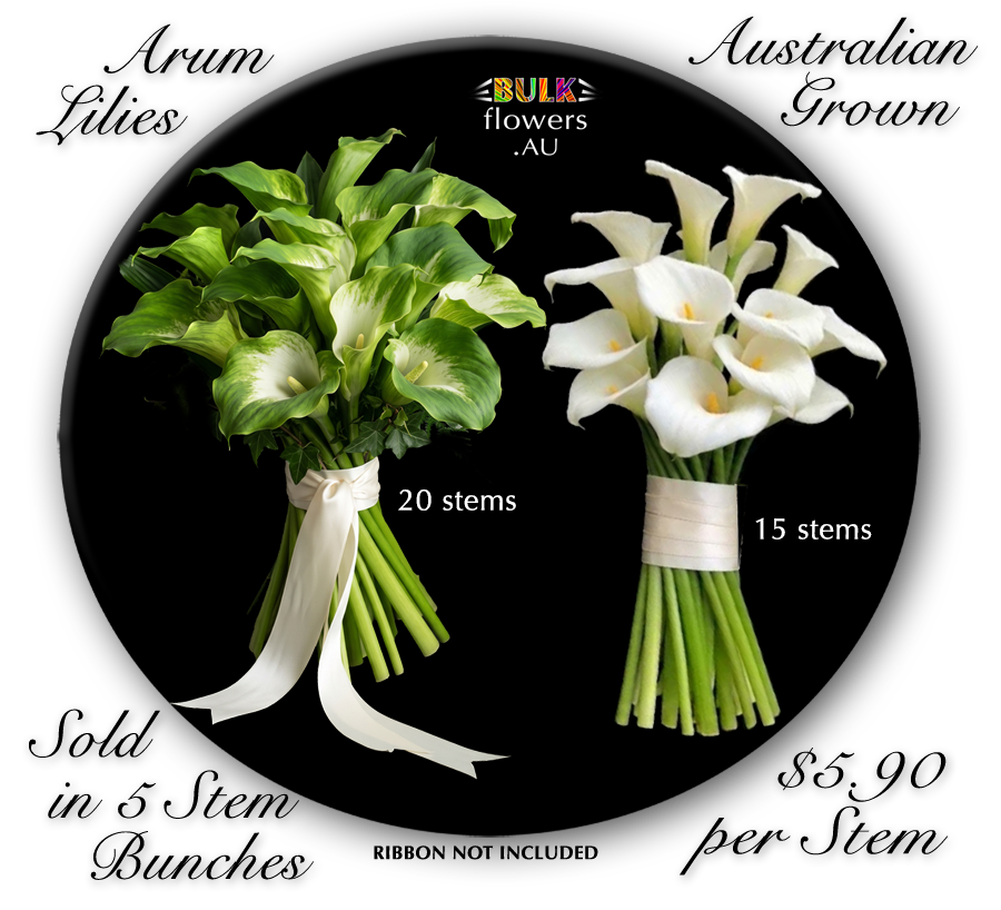 ARUM LILIES