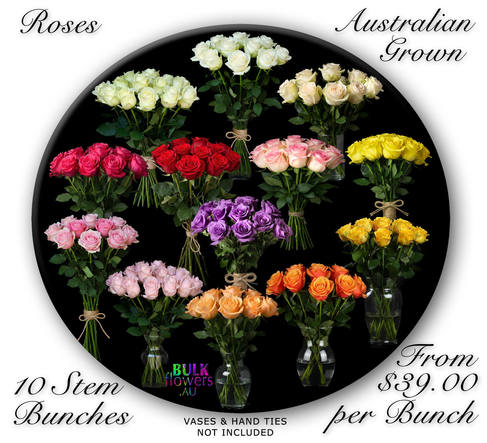 AUSTRALIAN ROSES