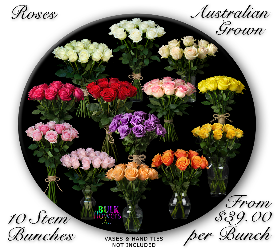 Australian Roses