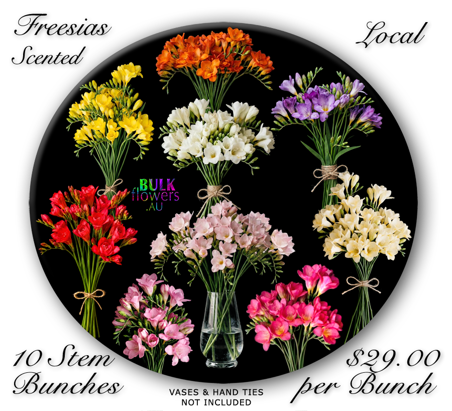 FREESIAS
